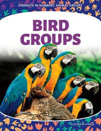Produktbild: Bird Groups