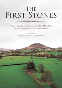 Produktbild: The First Stones