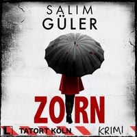Produktbild: Zorn