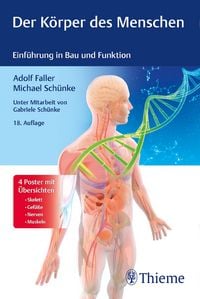 Produktbild: Der K&ouml;rper des Menschen