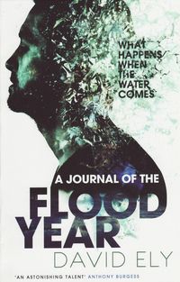 Produktbild: A Journal Of The Flood Year