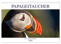 Produktbild: Papageitaucher: Clowns des Nordatlantik (Wandkalender 2026 DIN A4 quer), CALVENDO Monatskalender