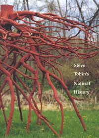 Produktbild: Kuspit, D: Steve Tobin's Natural History