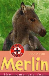 Produktbild: Nolan, T: Merlin