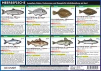 Produktbild: Info-Tafel-Set Meeresfische