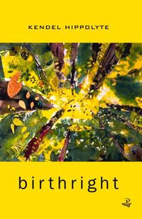 Produktbild: Birthright