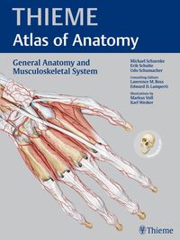 Bild vom Artikel General Anatomy and Musculoskeletal System vom Autor Edward D. Lamperti
