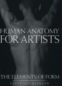 Produktbild: Human Anatomy for Artists