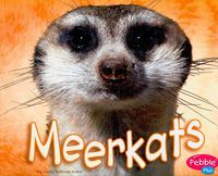 Produktbild: Meerkats