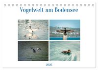 Produktbild: Vogelwelt am Bodensee 2026 (Tischkalender 2026 DIN A5 quer), CALVENDO Monatskalender