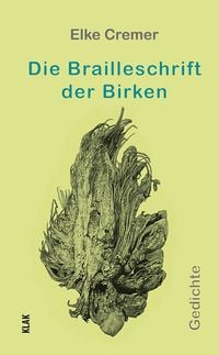 Produktbild: Die Brailleschrift der Birken