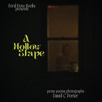 Produktbild: A Hollow Shape