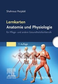 Produktbild: Lernkarten Anatomie und Physiologie