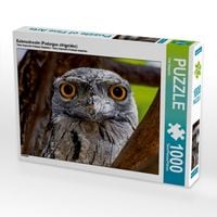 Produktbild: CALVENDO Puzzle Eulenschwalm (Podargus strigoides) | 1000 Teile Lege-Gr&ouml;&szlig;e 64x48cm Foto-Puzzle f&uuml;r gl&uuml;ckliche Stunden