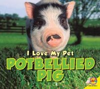 Produktbild: Potbellied Pig