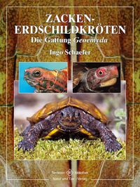 Produktbild: Zacken-Erdschildkr&ouml;ten
