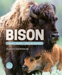 Produktbild: Bison