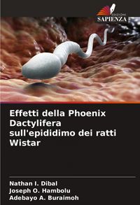 Produktbild: Effetti della Phoenix Dactylifera sull'epididimo dei ratti Wistar