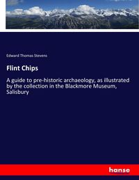 Produktbild: Flint Chips