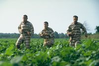 O Brother, where art thou?