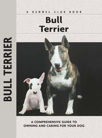 Produktbild: Bull Terrier