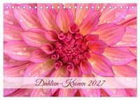 Produktbild: Dahlien-Kronen (Tischkalender 2027 DIN A5 quer), CALVENDO Monatskalender
