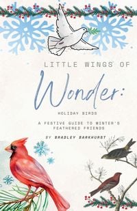 Produktbild: Little Wings of Wonder