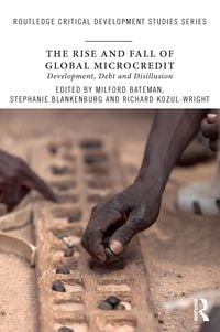 Produktbild: The Rise and Fall of Global Microcredit