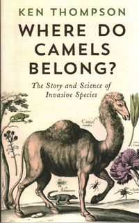 Produktbild: Thompson, K: Where Do Camels Belong?