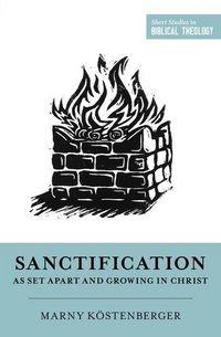 Produktbild: Sanctification as Set Apart and Growing in Christ