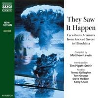 Produktbild: They Saw It Happen
