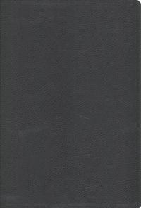 Produktbild: Niv Faithlife Illus Study Bibl
