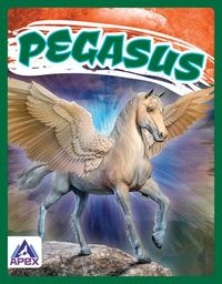 Produktbild: Pegasus