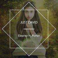 Produktbild: Just David