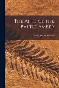 Produktbild: The Ants of the Baltic Amber