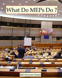 Produktbild: What Do MEPs Do ?