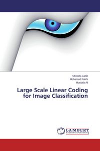 Produktbild: Large Scale Linear Coding for Image Classification