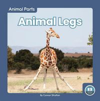 Produktbild: Animal Legs