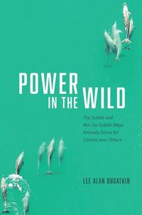 Produktbild: Power in the Wild