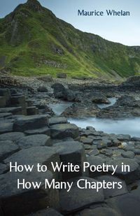 Produktbild: How to Write Poetry in How Many Chapters