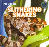 Produktbild: Slithering Snakes