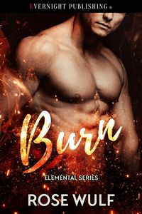 Produktbild: Burn (Elemental Series, #4)