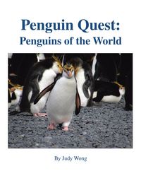 Produktbild: Penguin Quest: