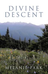 Produktbild: Divine Descent