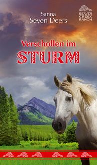Produktbild: Verschollen im Sturm