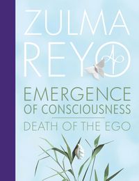 Produktbild: Emergence Of Consciousness