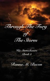Produktbild: Through The Fury of The Storm