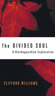 Produktbild: The Divided Soul
