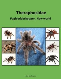 Produktbild: Theraphosidae