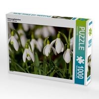 Produktbild: CALVENDO Puzzle Schneegl&ouml;ckchen | 1000 Teile Lege-Gr&ouml;&szlig;e 64x48cm Foto-Puzzle f&uuml;r gl&uuml;ckliche Stunden
